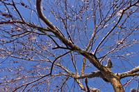 Cjp_2006_03_01_084956 (1).jpg